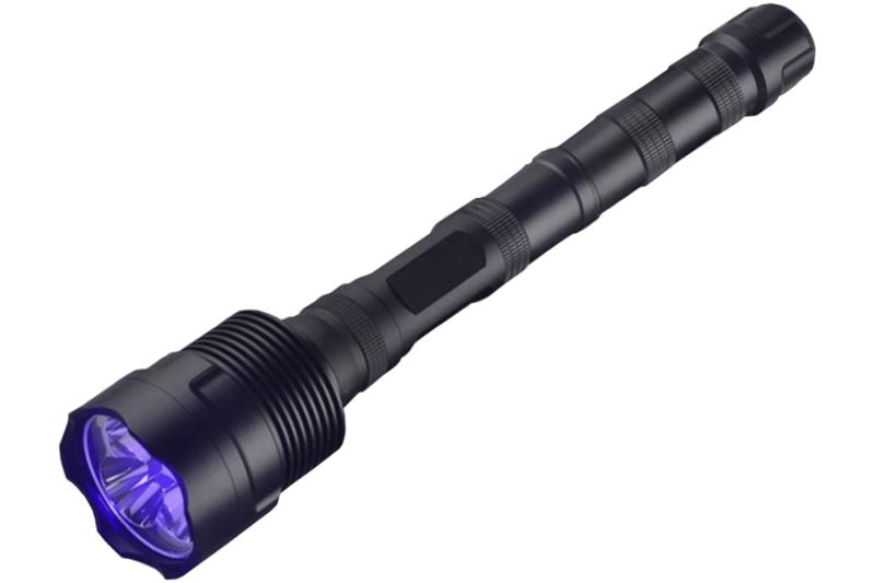 Prolight D1018